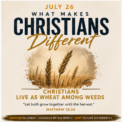 What Makes Christians Different? Christians Live as Wheat Among Weeds